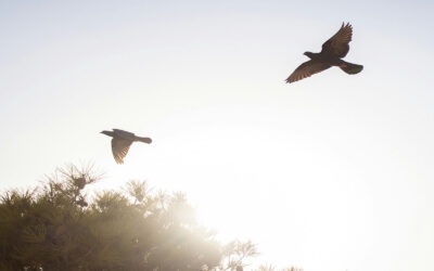 The Role of the Holy Spirit in Remembrance